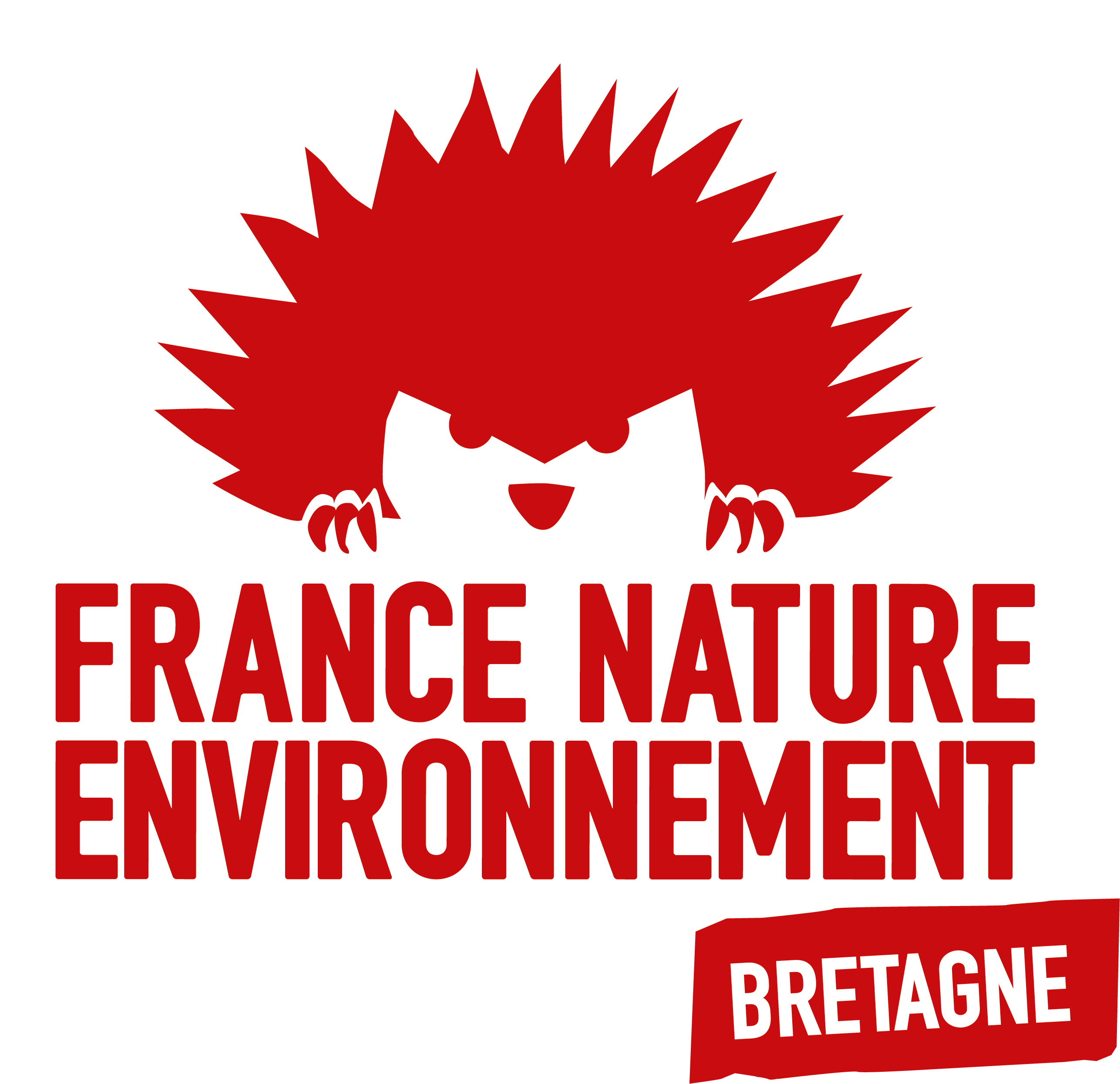 logo FNE-Bretagne carré