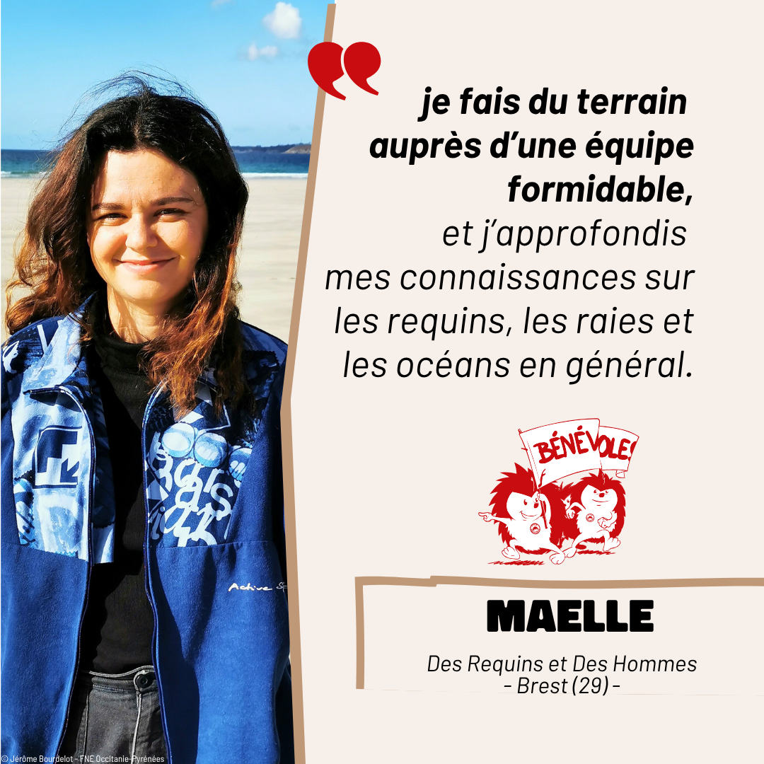 parole de bénévole - photo (2)