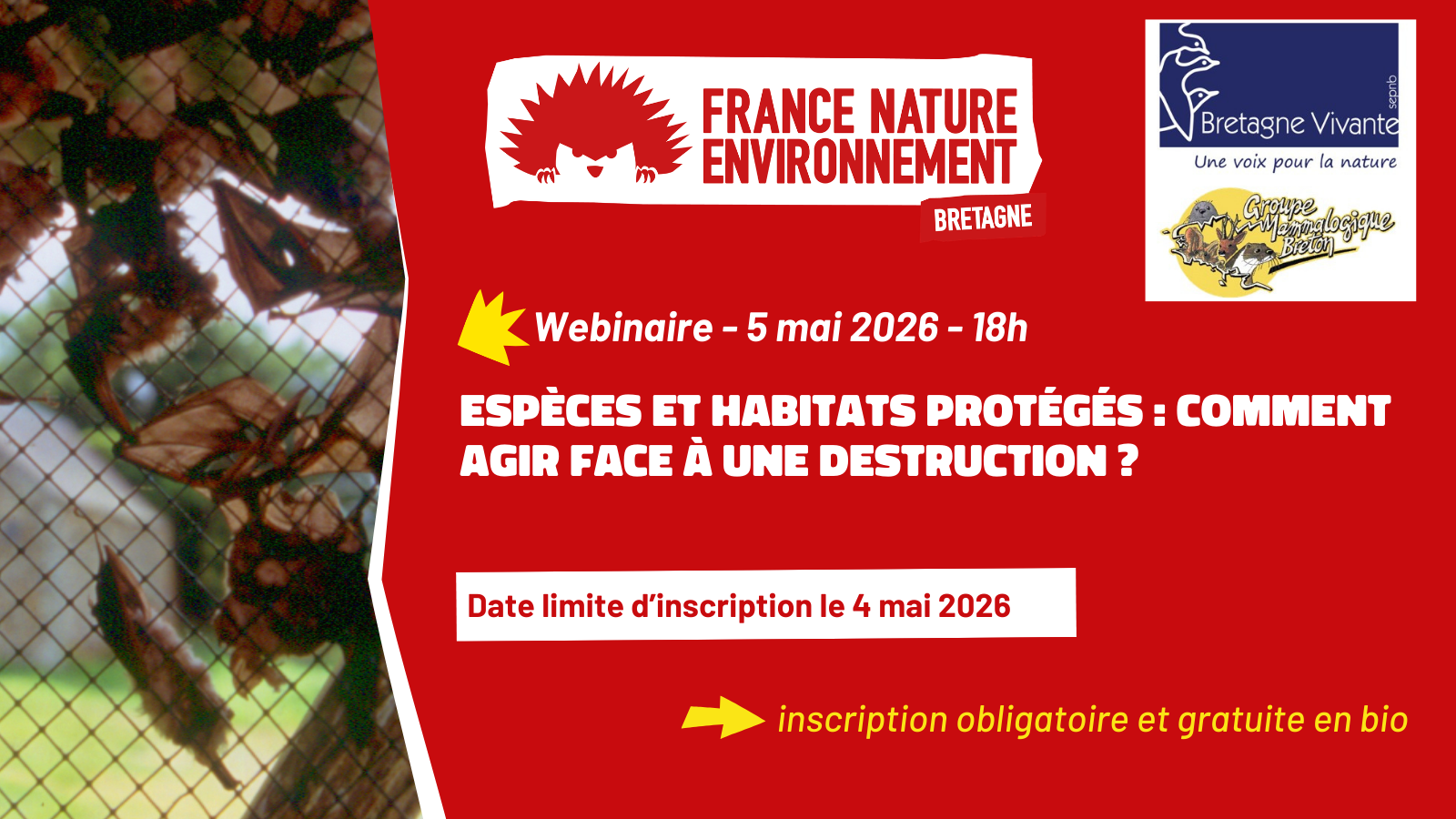 Webinaire espèces protégées