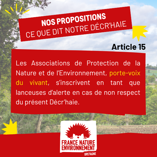 visuel de presentation (10)