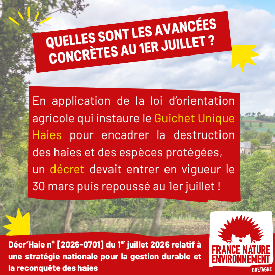 visuel de presentation (2)
