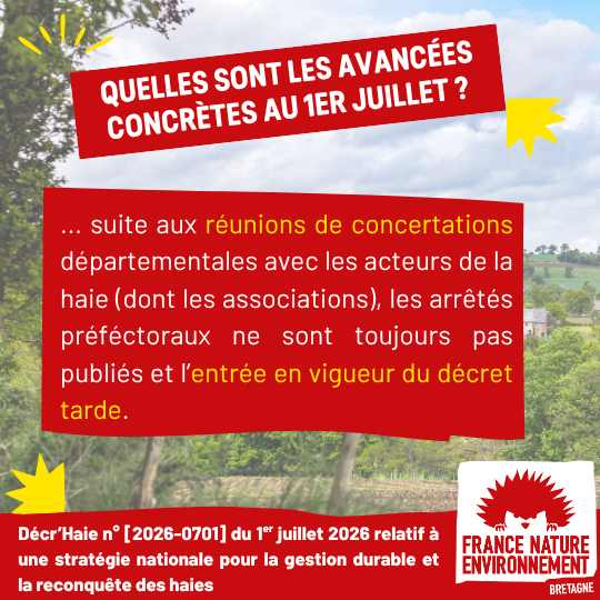 visuel de presentation (3)