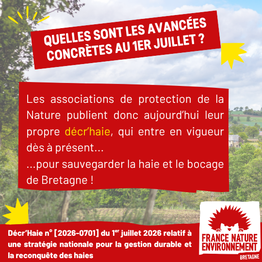visuel de presentation (4)