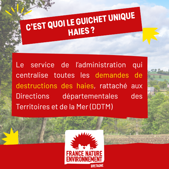 visuel de presentation (5)
