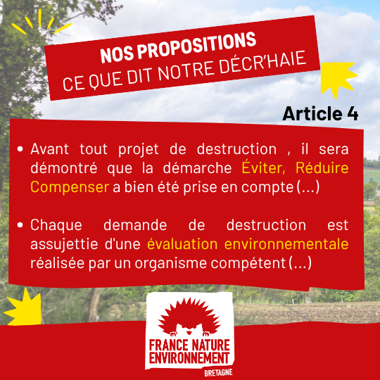 visuel de presentation (6)