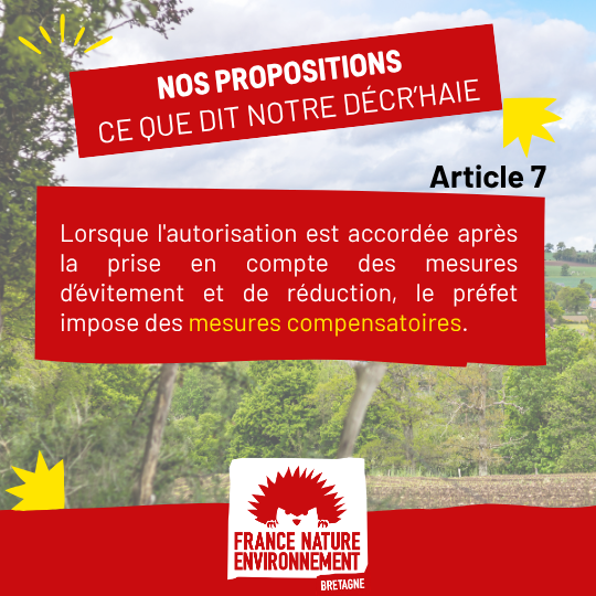 visuel de presentation (7)