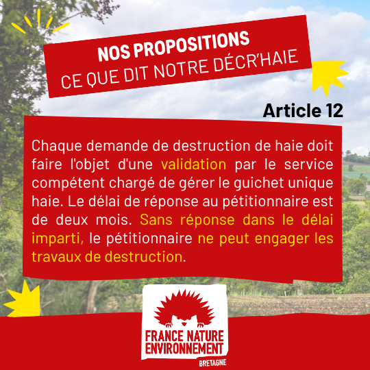 visuel de presentation (9)