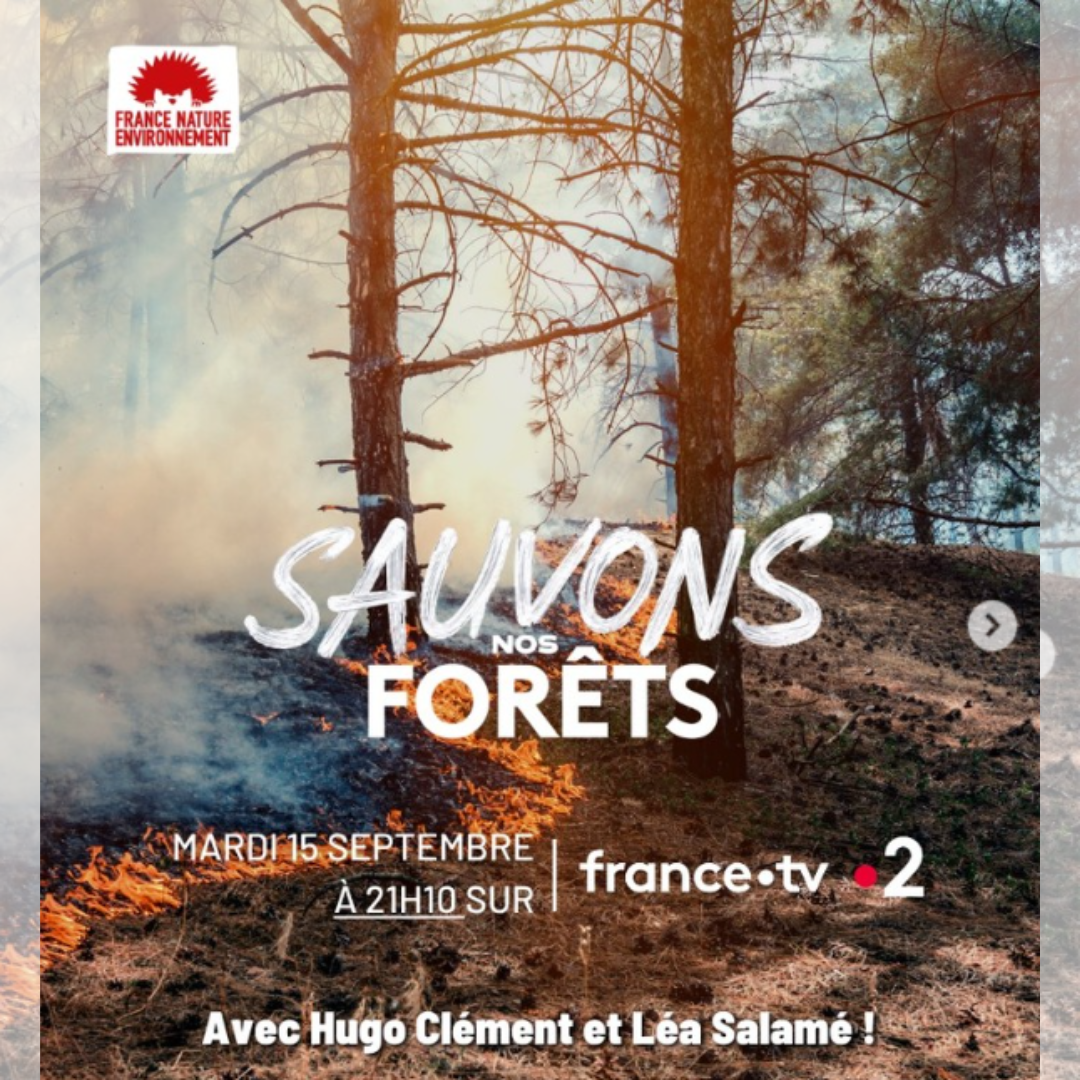 snf-ftv2026 (1)