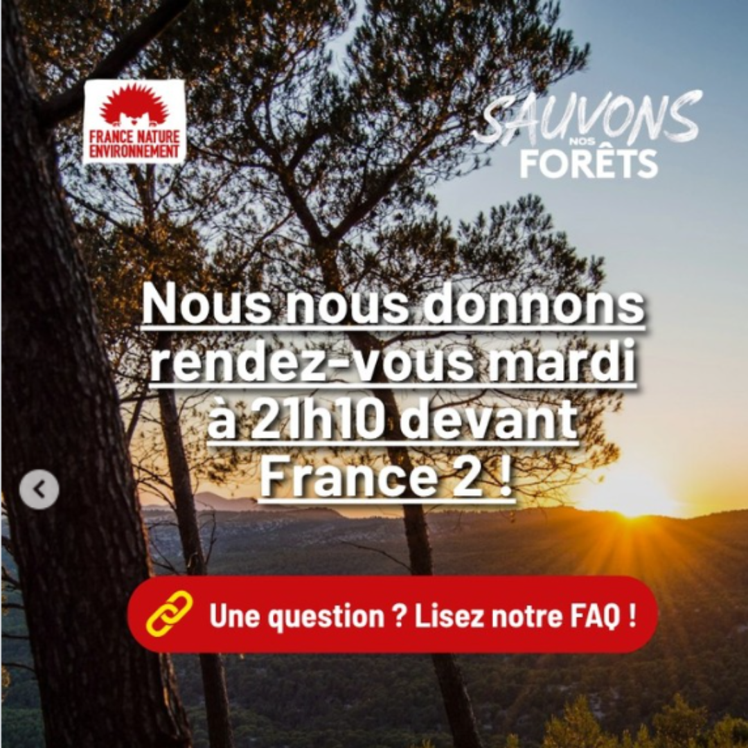 snf-ftv2026 (4)